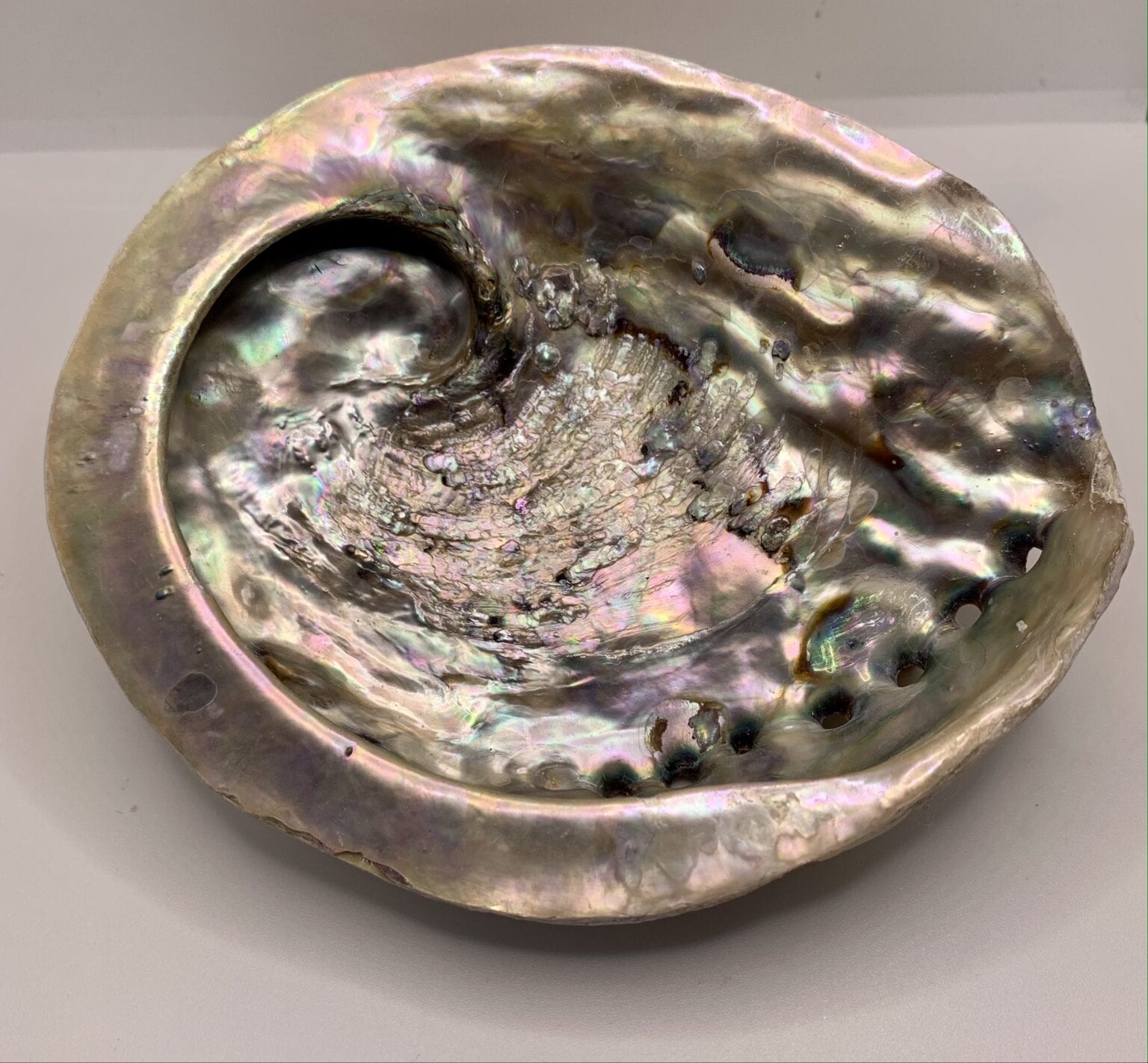 Abalone shell Crystal Falls