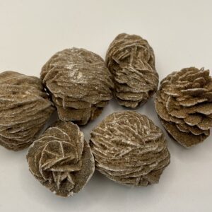 Desert Rose
